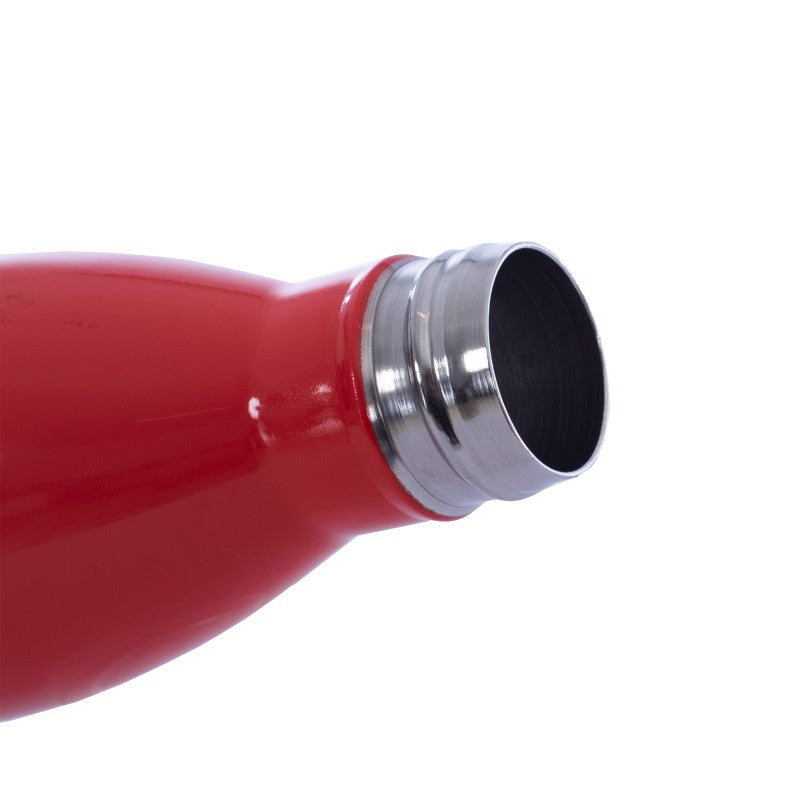 Thermal Bottle Ionic Gris ÚNICA